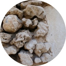 Galería del Grutesco