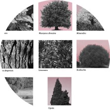 Concurso Memorial Merinales